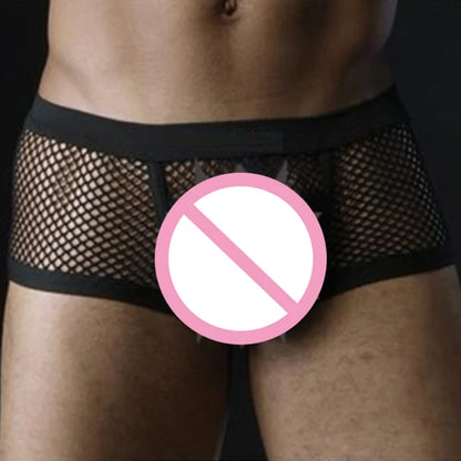 Sexy Mesh Boxer Men Underwear See Through Panties Transparent Low Waist Nightwear Boxer Shorts Boxershorts Underpants