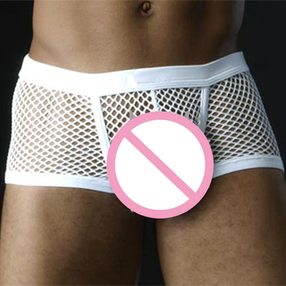 Sexy Mesh Boxer Men Underwear See Through Panties Transparent Low Waist Nightwear Boxer Shorts Boxershorts Underpants