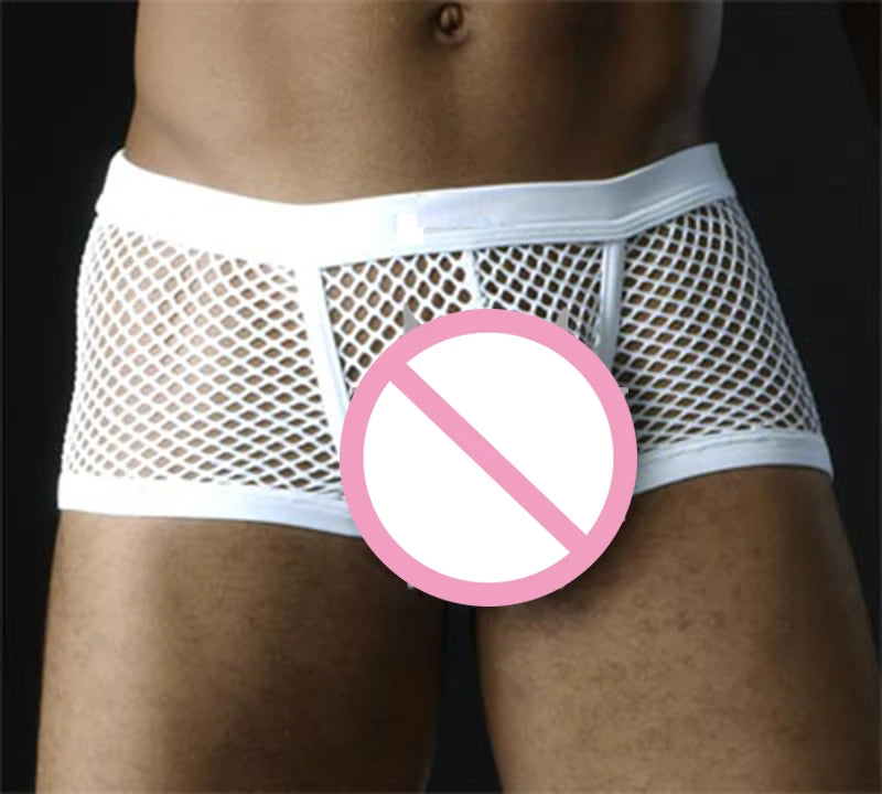 Sexy Mesh Boxer Men Underwear See Through Panties Transparent Low Waist Nightwear Boxer Shorts Boxershorts Underpants