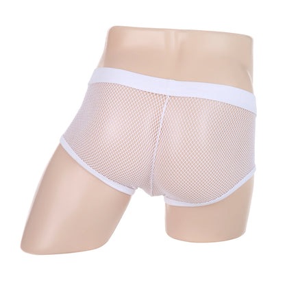 Sexy Mesh Boxer Men Underwear See Through Panties Transparent Low Waist Nightwear Boxer Shorts Boxershorts Underpants
