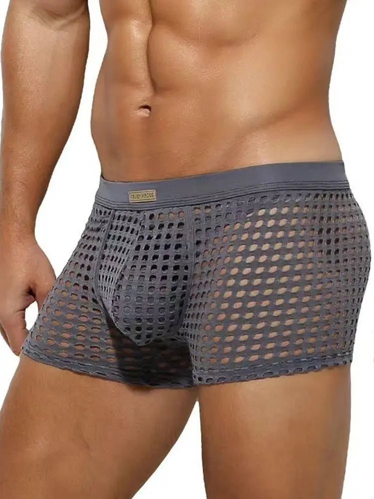 Breathable Mesh Men's Underpants Sexy Man Big Penis Pouch Boxers Summer Hollow Net Slip Briefs for Men Large
