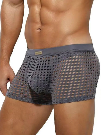 Breathable Mesh Men's Underpants Sexy Man Big Penis Pouch Boxers Summer Hollow Net Slip Briefs for Men Large