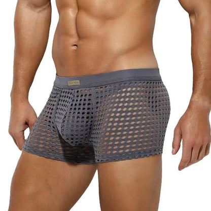 Breathable Mesh Men's Underpants Sexy Man Big Penis Pouch Boxers Summer Hollow Net Slip Briefs for Men Large