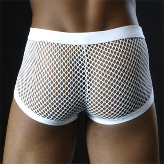 Sexy Mesh Boxer Men Underwear See Through Panties Transparent Low Waist Nightwear Boxer Shorts Boxershorts Underpants