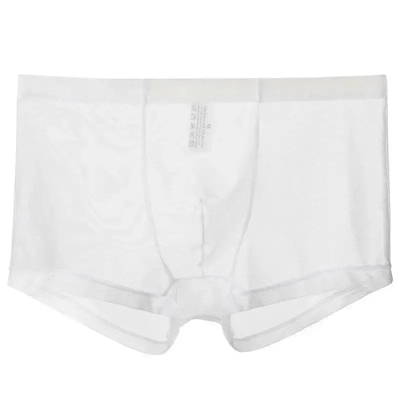 Men's Underwear Transparent Boxers Bulge Ice Silk See Through Underpants Sexy Briefs Low Waist Panties Lingerie Intimates