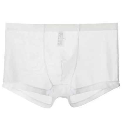 Men's Underwear Transparent Boxers Bulge Ice Silk See Through Underpants Sexy Briefs Low Waist Panties Lingerie Intimates