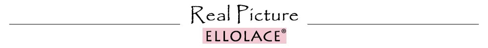 Ellolace Seductive Sexy Lingerie Bra Belt Thong 3PC Set Beautiful Floral Embroidered Intimate Tempted Women Underwear