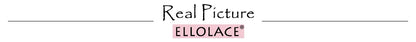 Ellolace Seductive Sexy Lingerie Bra Belt Thong 3PC Set Beautiful Floral Embroidered Intimate Tempted Women Underwear