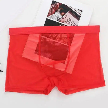 Men's Underwear Transparent Boxers Bulge Ice Silk See Through Underpants Sexy Briefs Low Waist Panties Lingerie Intimates