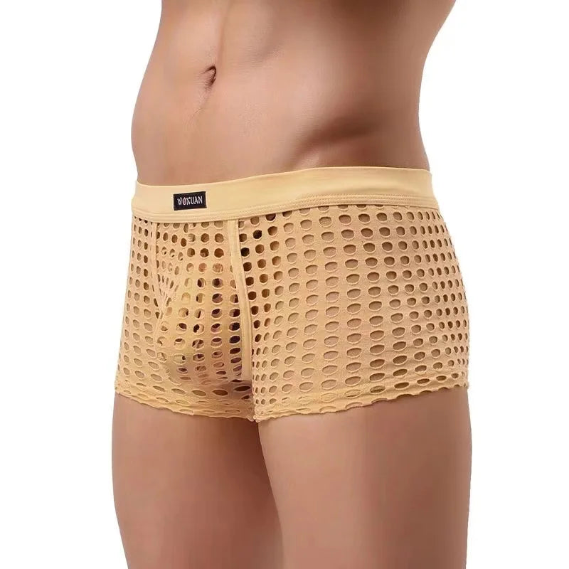 Breathable Mesh Men's Underpants Sexy Man Big Penis Pouch Boxers Summer Hollow Net Slip Briefs for Men Large