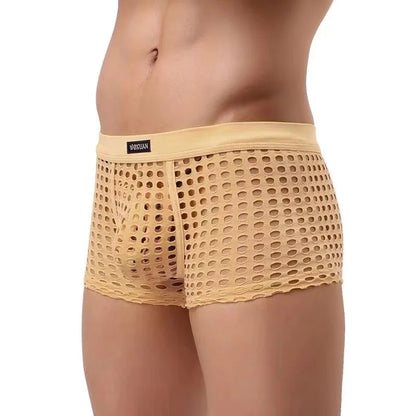 Breathable Mesh Men's Underpants Sexy Man Big Penis Pouch Boxers Summer Hollow Net Slip Briefs for Men Large