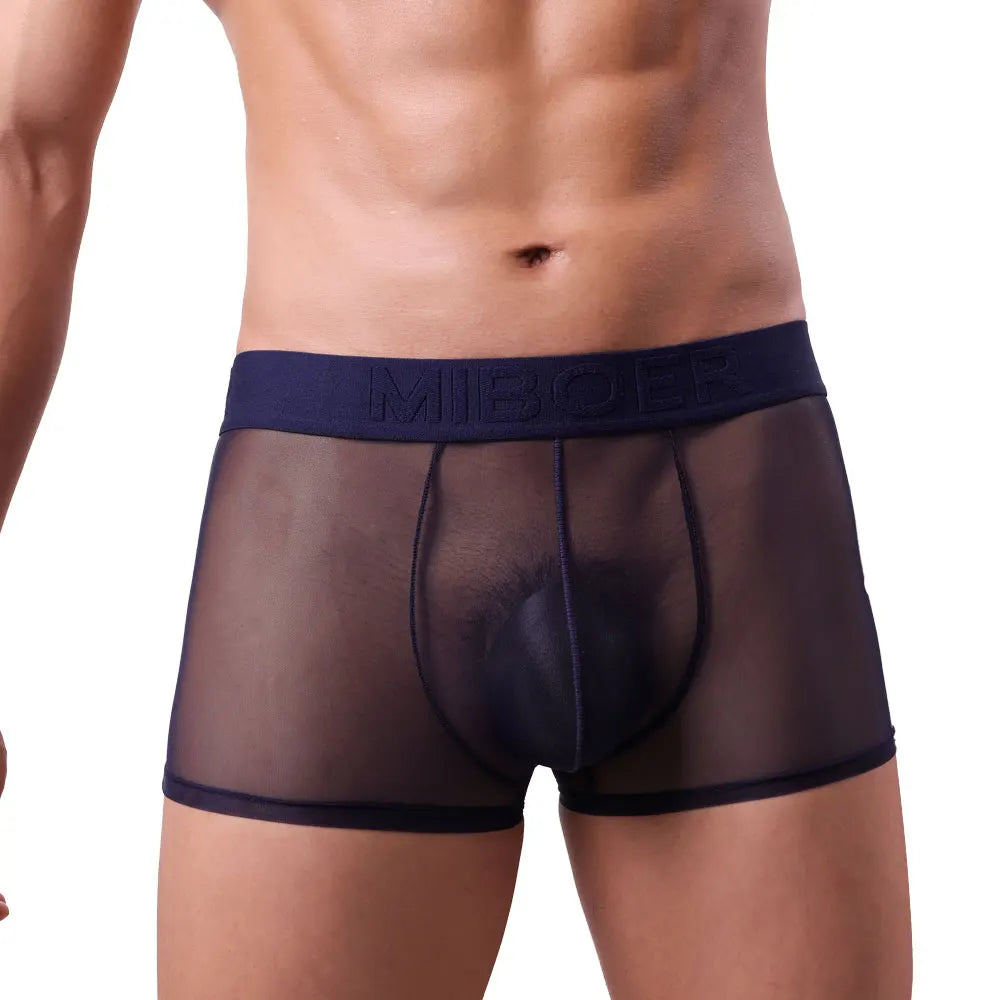 MIBOER Men's Sheer Mesh Boxer Briefs with 3D Contoured Pouch And Embossed Logo Waistband Ultra Thin Breathable Underwear