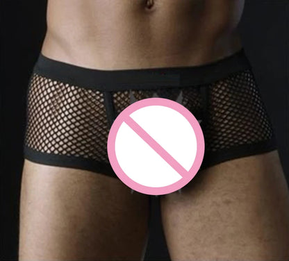 Sexy Mesh Boxer Men Underwear See Through Panties Transparent Low Waist Nightwear Boxer Shorts Boxershorts Underpants